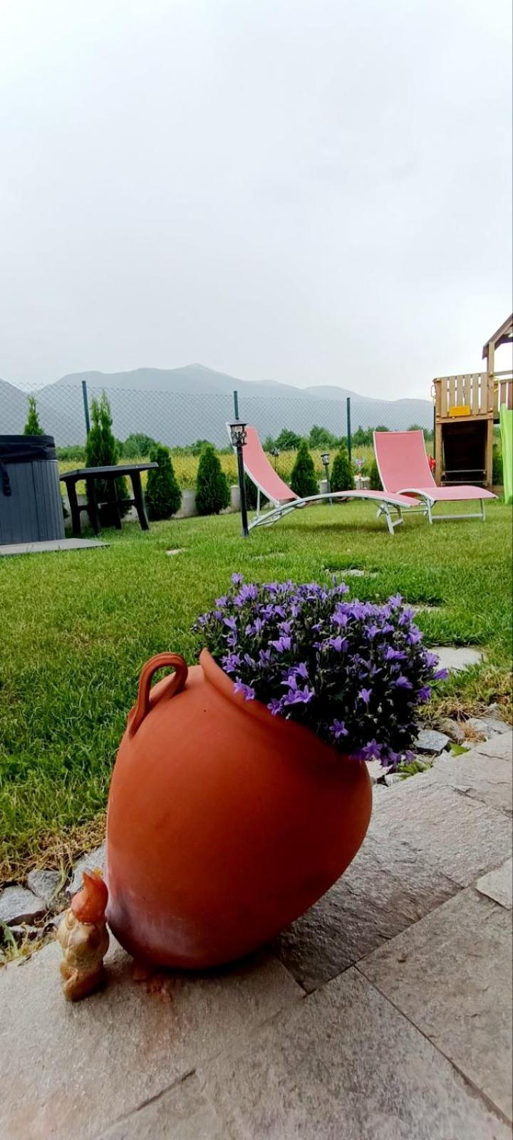 Mountain Villa Jordan- With Jacuzzi 拉兹洛格 客房 照片